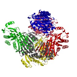 Image of CATH 5a05