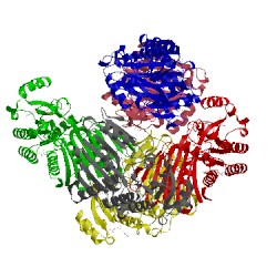 Image of CATH 5a06