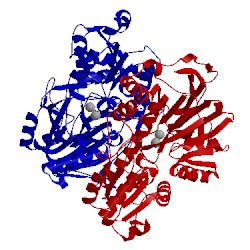 Image of CATH 5a0v