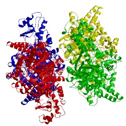 Image of CATH 5a0z