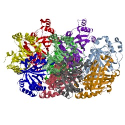 Image of CATH 5a13