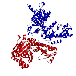 Image of CATH 5a1l