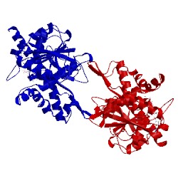 Image of CATH 5a1t