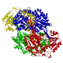 Image of CATH 5a2d