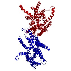 Image of CATH 5a2n