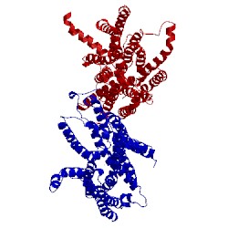 Image of CATH 5a2o