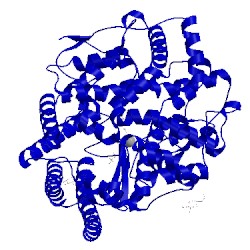 Image of CATH 5a2r