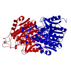 Image of CATH 5a2s