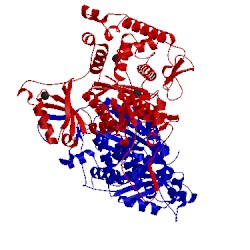 Image of CATH 5a2v