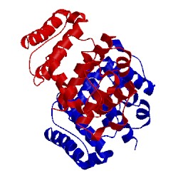 Image of CATH 5a37
