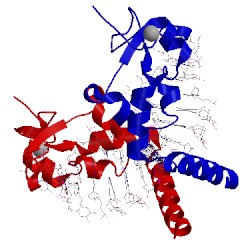 Image of CATH 5a3d