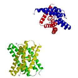 Image of CATH 5a40