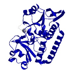 Image of CATH 5a5d
