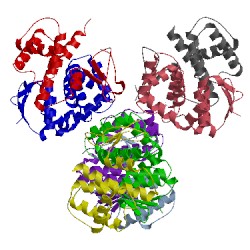 Image of CATH 5a5h