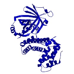 Image of CATH 5a60