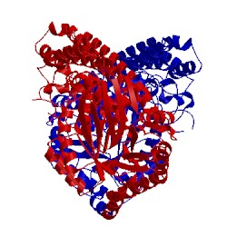 Image of CATH 5a6a