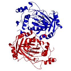 Image of CATH 5a80