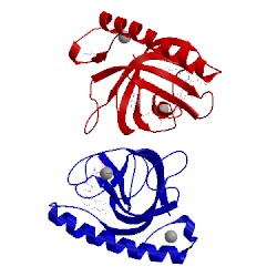Image of CATH 5a89