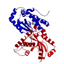 Image of CATH 5a9g