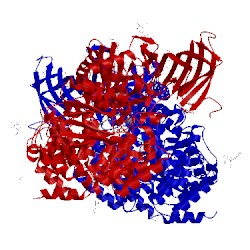 Image of CATH 5ab0