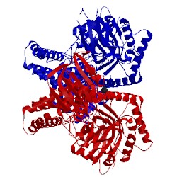 Image of CATH 5abe