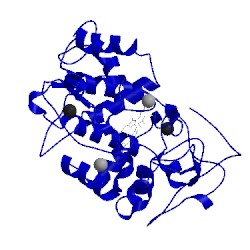Image of CATH 5abn