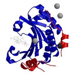 Image of CATH 5abx