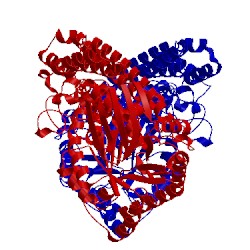 Image of CATH 5ac4