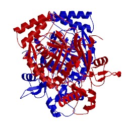 Image of CATH 5ad5