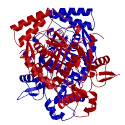 Image of CATH 5ad7