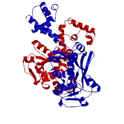 Image of CATH 5ae5