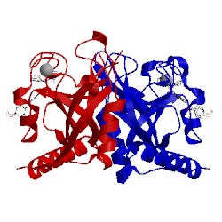 Image of CATH 5aeh