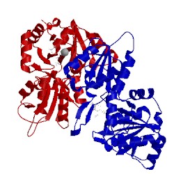 Image of CATH 5aes