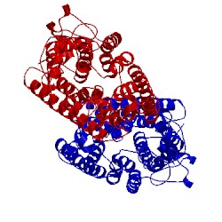 Image of CATH 5af1