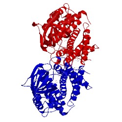 Image of CATH 5af7