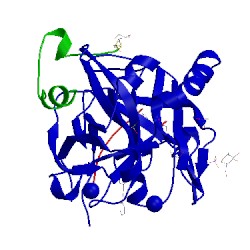 Image of CATH 5af9