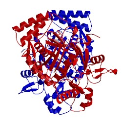 Image of CATH 5agn