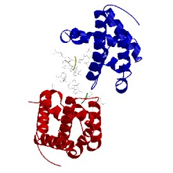 Image of CATH 5agx