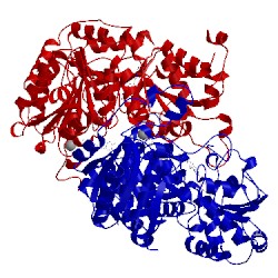 Image of CATH 5ahk