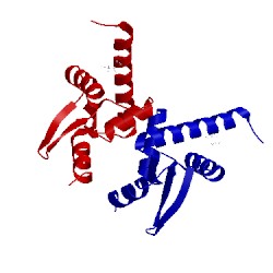 Image of CATH 5aim