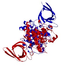 Image of CATH 5air