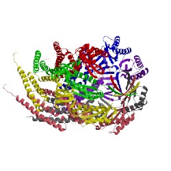 Image of CATH 5aji