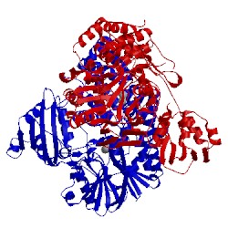 Image of CATH 5ajl