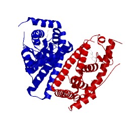 Image of CATH 5ak2