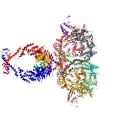 Image of CATH 5akc