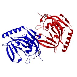 Image of CATH 5al2