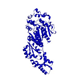 Image of CATH 5ald