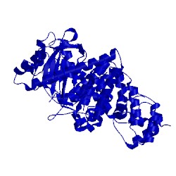 Image of CATH 5anl