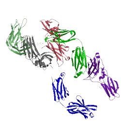 Image of CATH 5anm