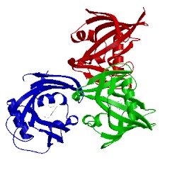 Image of CATH 5ant